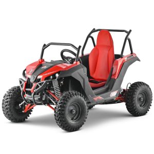 Buggy 1200W