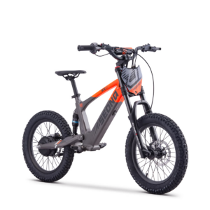 Draisienne électrique SEDNA SX 18