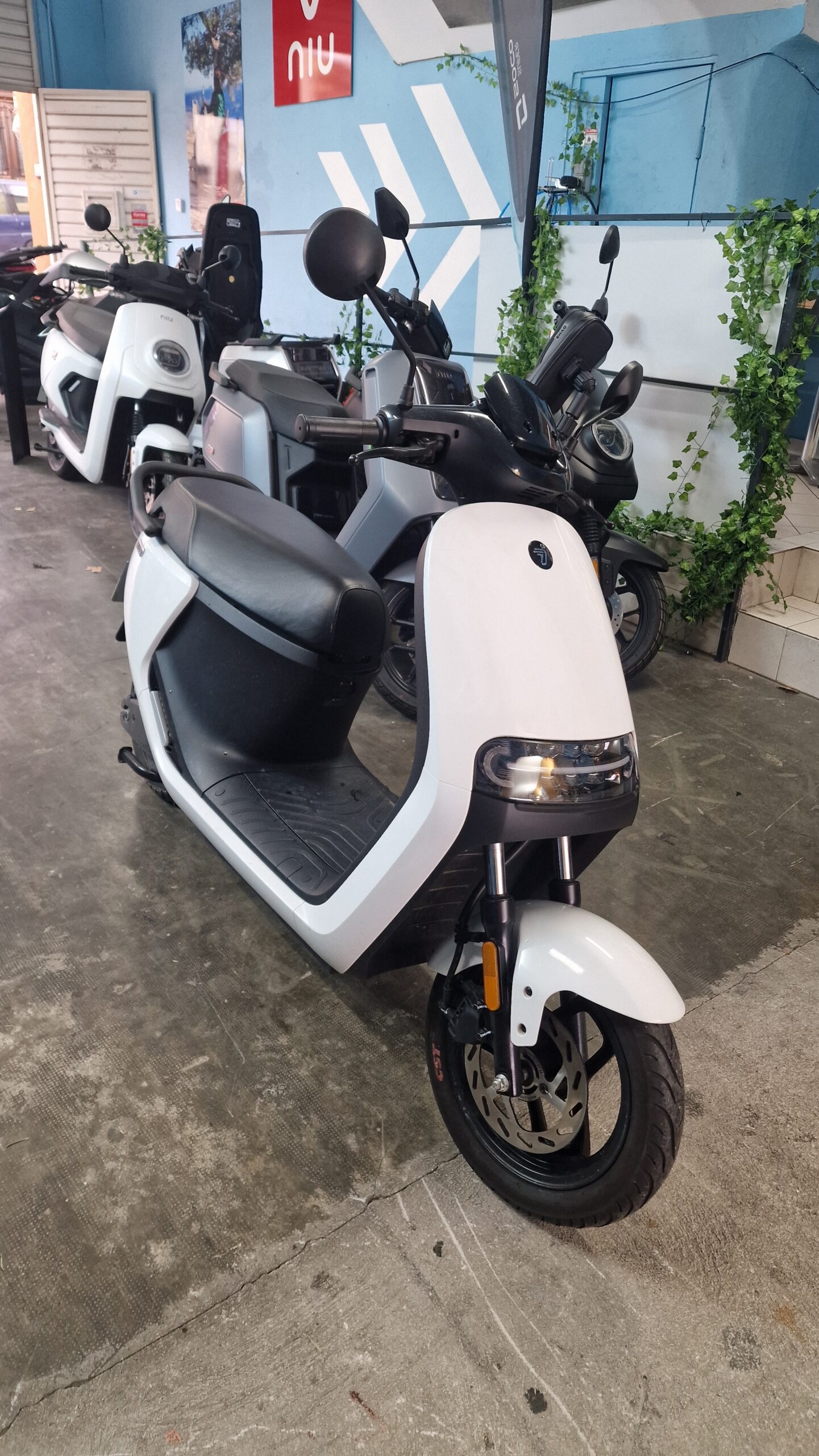 Segway B110 SE - Occasion