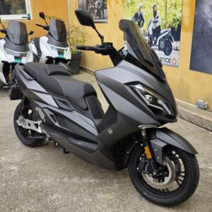 Nerva Exe (Occasion)